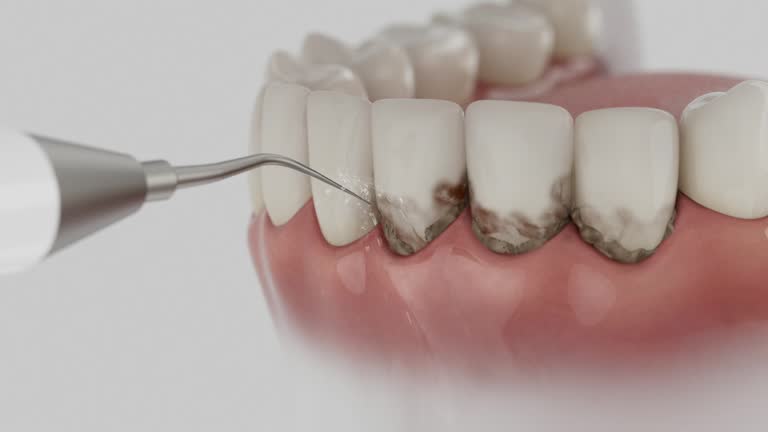 Reliable Dental contractor in Apex, NC by Dentist Open Now